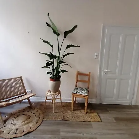Apartament Big Sunny In Old 3 Bedroom In Central